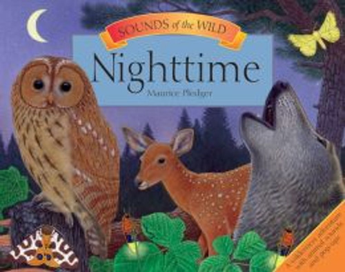 Nighttime : Sounds Of The Wild