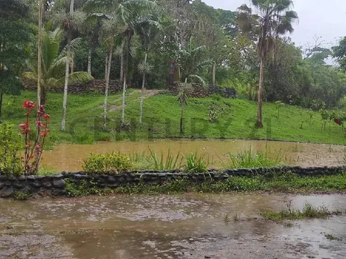 Finca En Venta Las Lapas