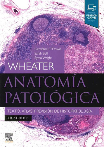 Libro Anatomía Patológica Wheater De Sylvia Wright Sara Bell