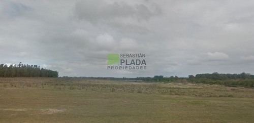 Imagen 5 de 11 de Buena Fracción Con Arroyo Sobre Ruta 9