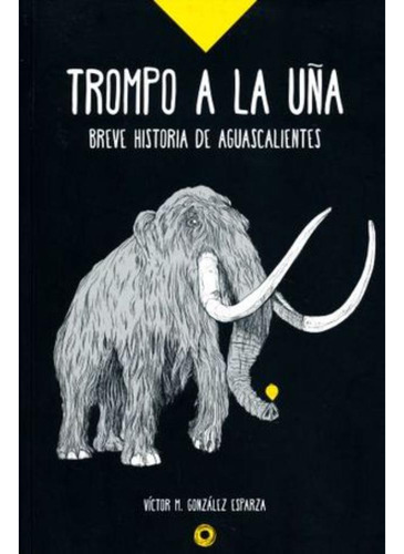 Libro.- Trompo A La Una Breve Historia De Aguscalientes