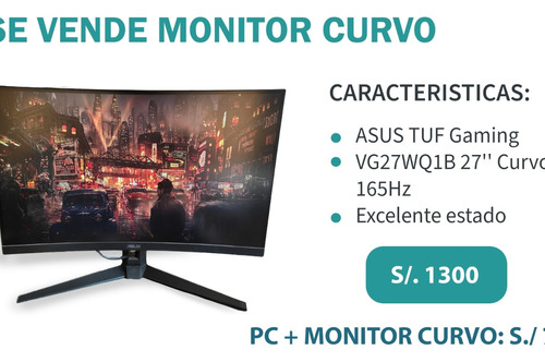  27  Monitor Curvo