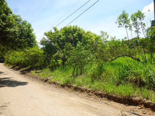 Imagem 11 de 18 de Terreno A Venda, Colinas De Indaiatuba Ii, Indaiatuba - Tr01631 - 4229513