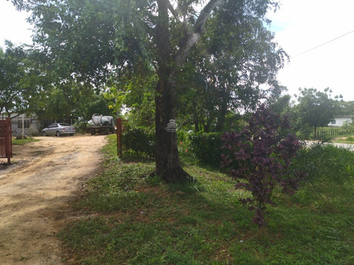 Imagen 6 de 17 de Finca En Venta Ubicada En San Jose De Sanare Estado Falcon.