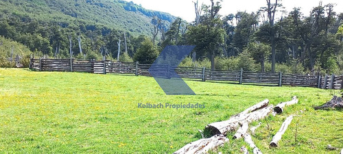 Lindo Terreno Con Estero En Venta En Futalefu
