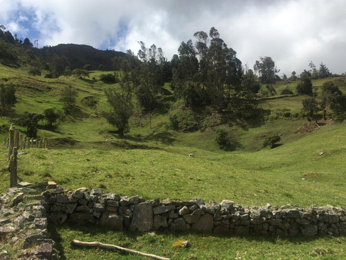 Finca En La Vereda San Antonio