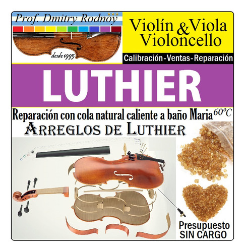 Luthier Reparacion Violin Viola Violoncello Tasacion Compra