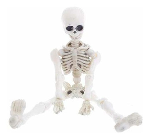 Oauxy Realistic Skull Esqueleto Modelo Humano, 3.54 Xk4pg