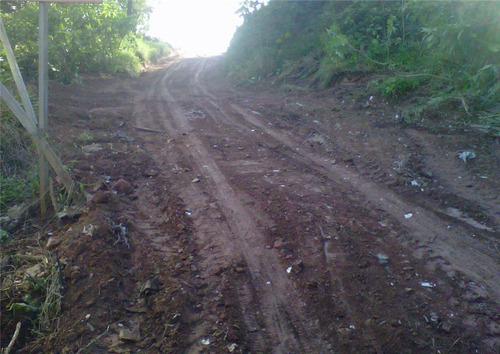 Imagem 2 de 3 de Terreno À Venda, Cooperativa - São Bernardo Do Campo/sp - 32125