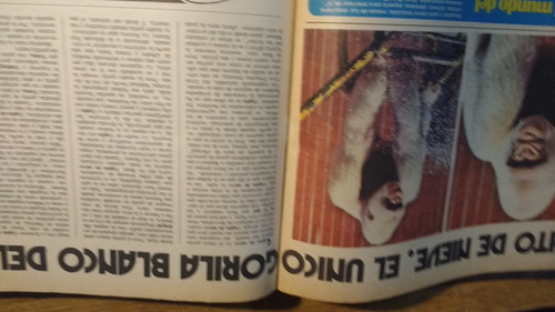 Revista Clarin N° 12143 Copito De Nieve Gorila Blanco 1979