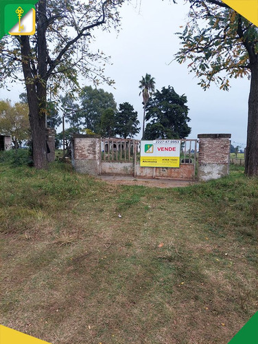 Campo En Venta En Roque Pérez