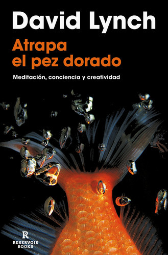 Atrapa El Pez Dorado - David Lynch, De David Lynch. Editorial Reservoir Books En Español