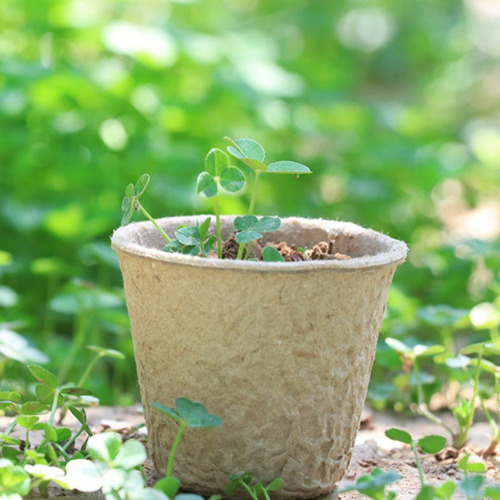 Para Vasos De Agua Para Plantas Y Vivero, Turba, 100