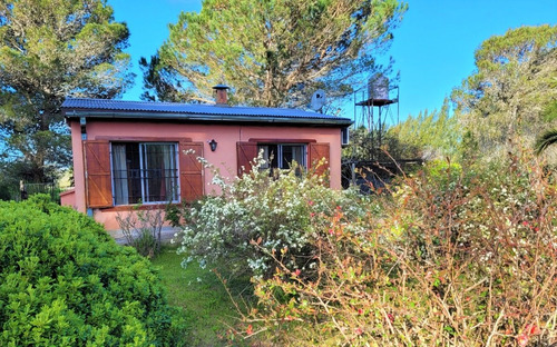 Imagen 14 de 29 de Chacra Con Vivienda