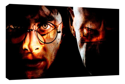 Cuadro Decorativo Canvas Moderno Harry Potter Vs Voldemort 2 Color Natural Armazón Natural