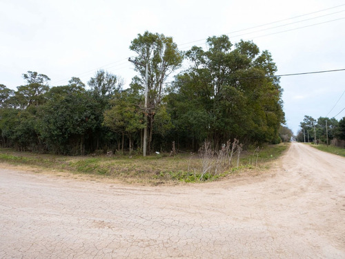 Imagen 2 de 13 de Lote | Mendoza