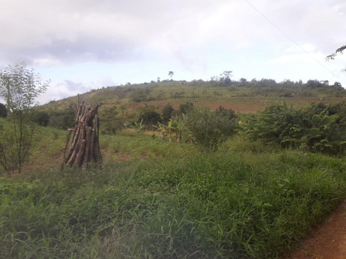 Imagem 2 de 14 de Sítio / Chácara Para Venda Em Flexeiras, Zona Rural - In - 0014_1-1691481