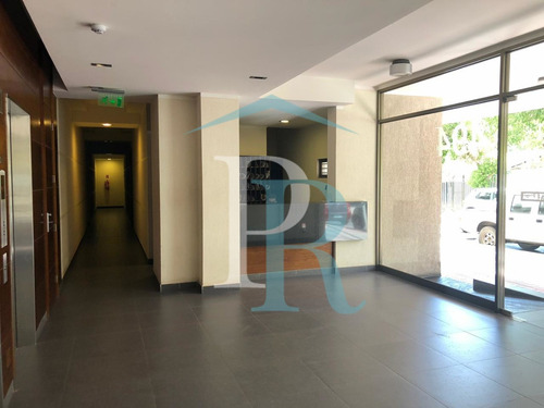 Imagen 15 de 15 de Departamento Edificio Parque Alameda