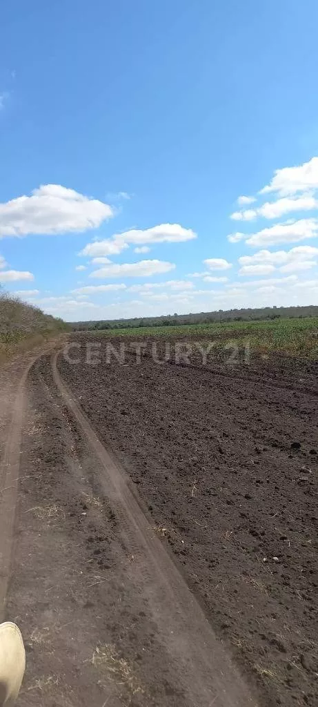 Rancho En Venta González; Tamaulipas