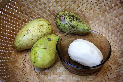 Mango Crema 1 Arbolito Para Huerto O Patio Comestible Y Raro