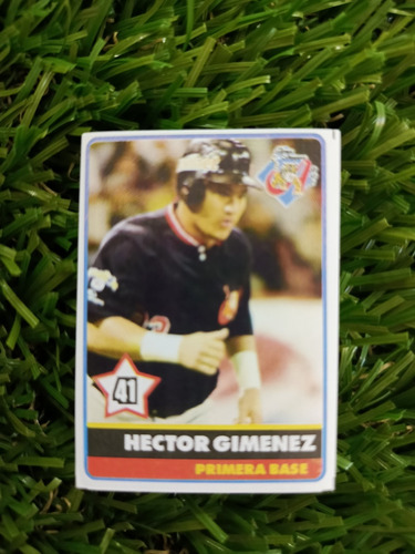 2001 Béisbol Profesional Venezolano Héctor Giménez #41