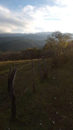 Imagen 1 de 6 de Terreno En Venta En Raco