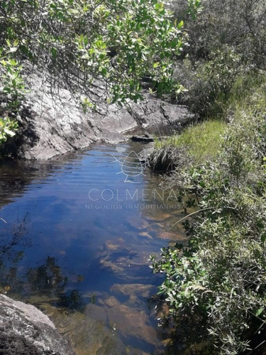 Imagen 6 de 16 de Campo En Carape - Departamento De Maldonado - Carape