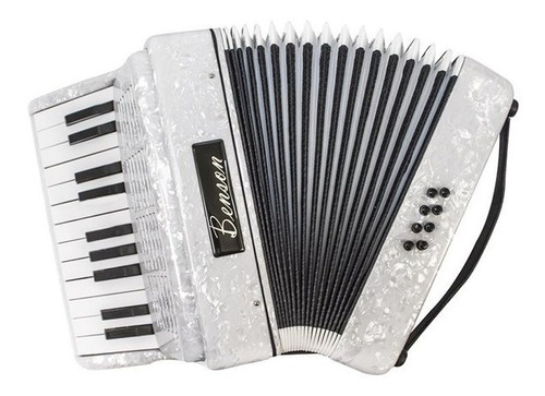 Acordeon Sanfona 8 Baixos 22 Teclas Benson Bac08pwh Com Bag