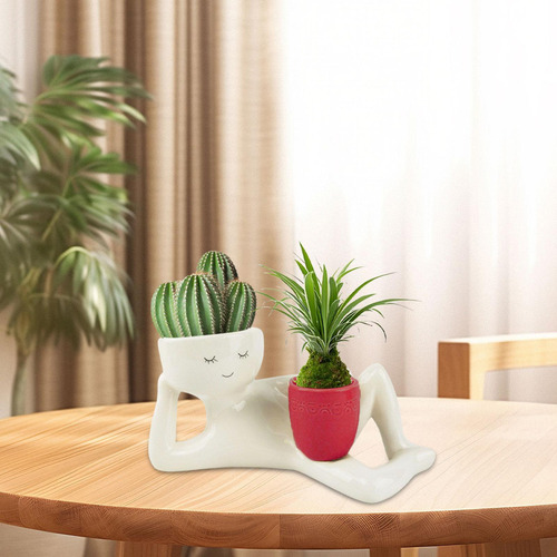 Fe Figura De Mentira Lateral Plantera Con Plantador Rojo
