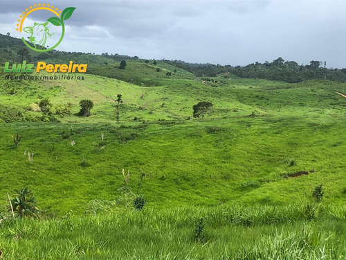Imagem 1 de 15 de Fazenda À Venda Em Pacajá - Pa 692,12 Hectares - 2094