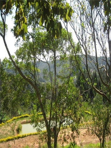 Imagem 12 de 19 de Propriedade Rural-ibiúna-recreio Campo Verde | Ref.: Reo500708 - Reo500708