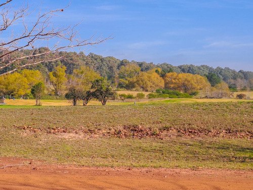 Oportunidad Gran Lote Interno De 3556 M2 Muy Lindas Vistas En Venta - Carmelo Golf
