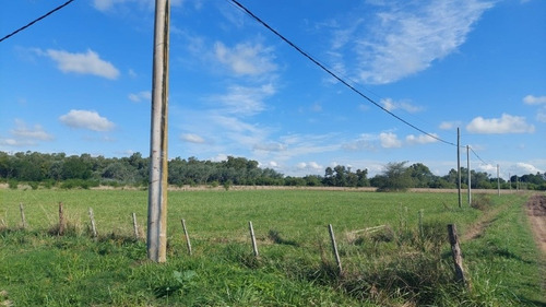 Imagen 6 de 13 de Líquido!!! Lote De Terreno En Venta De 1250 M2 En San Miguel Del Monte