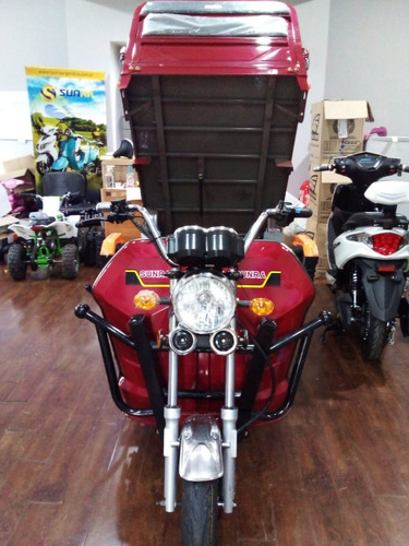 Imagen 15 de 16 de Triciclo Cargo Electrico Sunra Trabajo King Kong Scooter