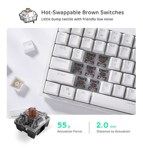 Imagen 7 de 10 de Teclado Inalambrico Blanco Rgb Royal Kludge Rk84 Tkl Brown S