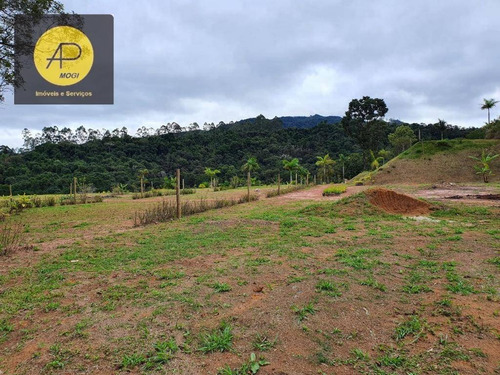 Imagem 18 de 30 de Terreno À Venda, 3557 M² Por R$ 480.000,00 - Jardim Ponte Grande - Mogi Das Cruzes/sp - Te0045
