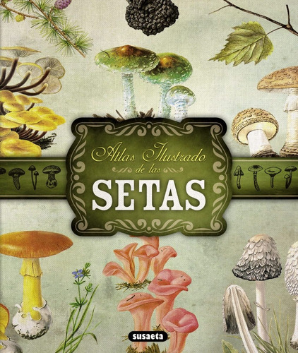 Atlas Ilustrado De Las Setas (t.d)