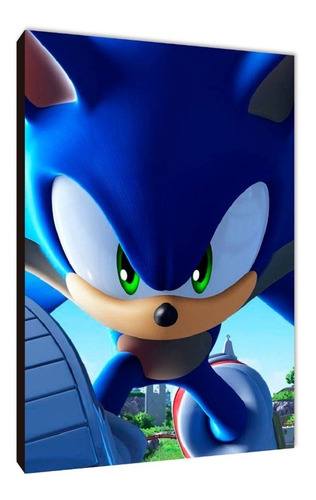 Cuadros Poster Videojuegos Sonic L 29x41 (nic (1)