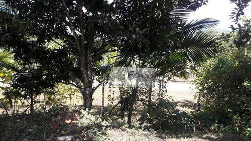 Imagem 16 de 30 de Sítio Com 3 Dormitórios À Venda, 302000 M² Por R$ 1.200.000,00 - Centro - Tapiraí/sp - Si0004