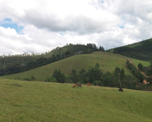 Imagem 25 de 30 de Fazenda Bem Localizada À Venda Em Juquitiba. - 15 - 32982853