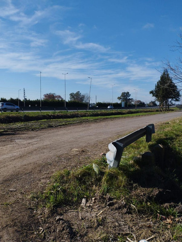 Venta Lotes Colectora En Fatima