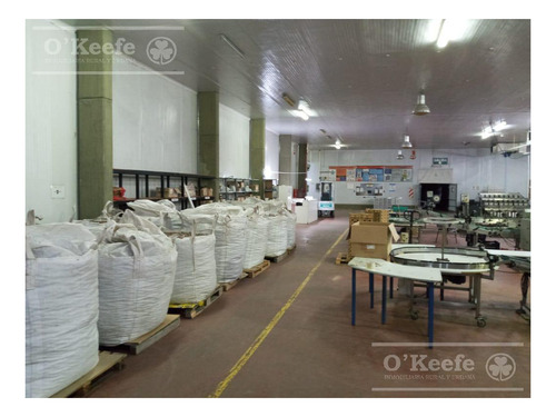 Imagen 30 de 30 de Planta De Acondicionamiento Y Frio En Venta En Concordia Entre Rios - Oportunidad