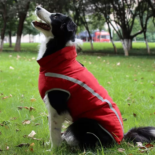 Roupa para Cachorro em Oferta