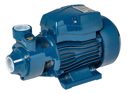 Bomba De Agua Periférica Elevadora Qb60 0,5 Hp 220v 