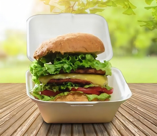 Hamburgueira Lanche Batata Salada Hc2 Com 100 Unidades Isopor