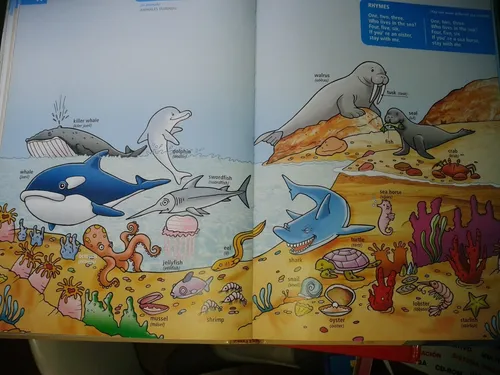 Libro Ingles Para Niños (Usado)