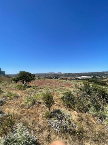 Sitio En Venta En Quintero