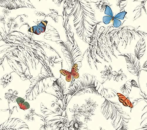 Papel Tapiz - York Wallcoverings Ashford Toiles Papillon Rem