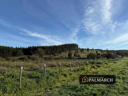 Parcelas En Venta En Ninhue Región De Ñuble