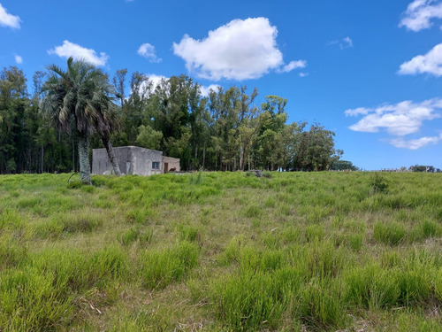 Campo 37hás En Zona De Garzón Abajo Rocha